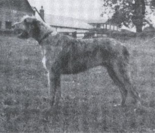 Sulhamstead Melba