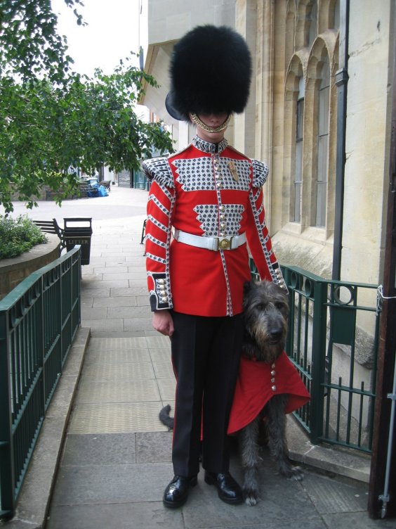 Fergal and handler