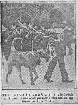 newspaper item