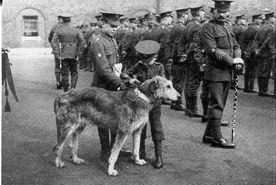 St. Patrick's Day, 1917