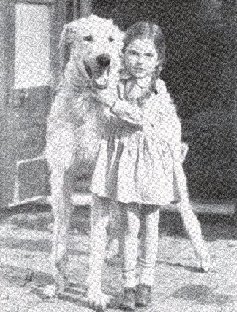 Reason of Grevel with Jane