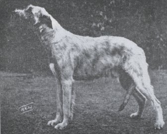 Sulhamstead Misti