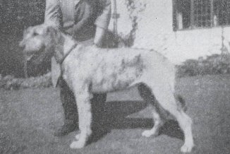 Sulhamstead Myrtle