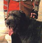 Aengus