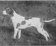 Sulhamstead Spray
