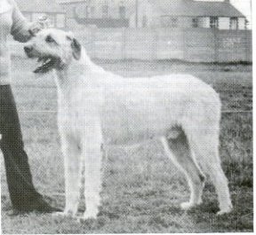 Ballykelly Errislannon Liam