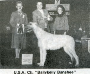 USA Ch. Ballykelly Banshee