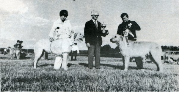 winners at Swedish ch. show