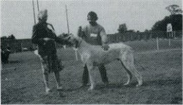 Ballykelly Sadi