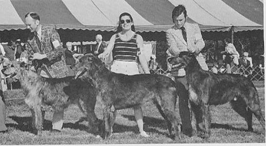 Brona winning Brood Bitch