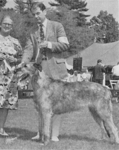 Kilkara Boroughbury Peggy