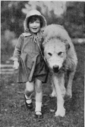 child with hound
