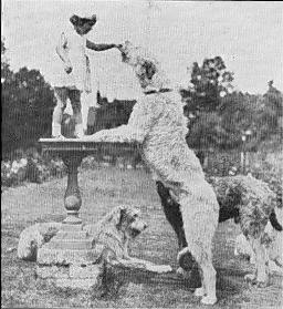 Child and hounds