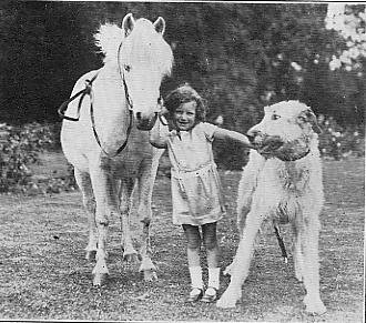child with pony and hound