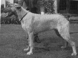 Sulhamstead Branwen Myles