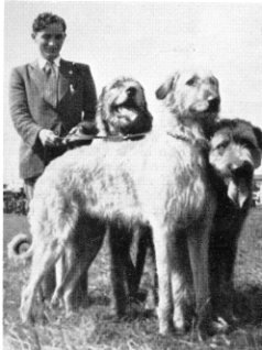 Group of three