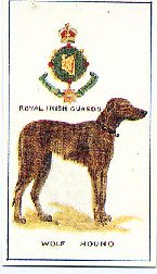 Mascot cigarette card