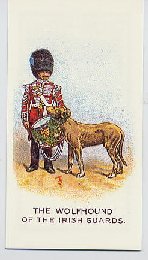 Regimental pets cigarette card
