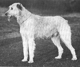 Cloghran of Ouborough