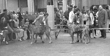 Club/LKA 1974