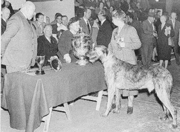Crufts 1960