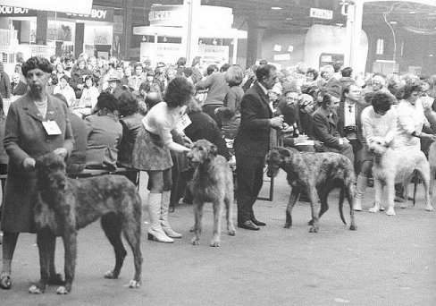 Crufts, 1973