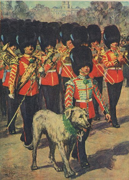 Doran on St. Patrick's Day march