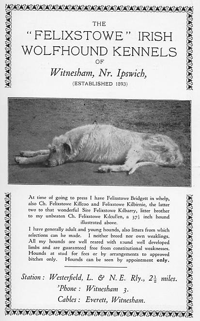 advertisement