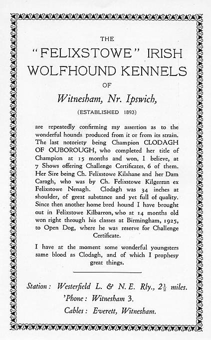 advertisement