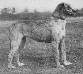 Felixstowe Kilfree