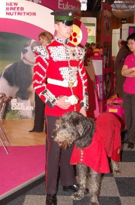 Fergal at Crufts 2007