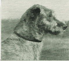 Head of Felixstowe Kilfree