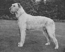 Flute in 1939