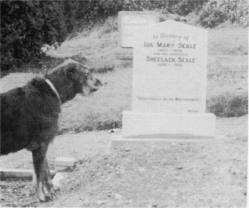 Seale gravestone