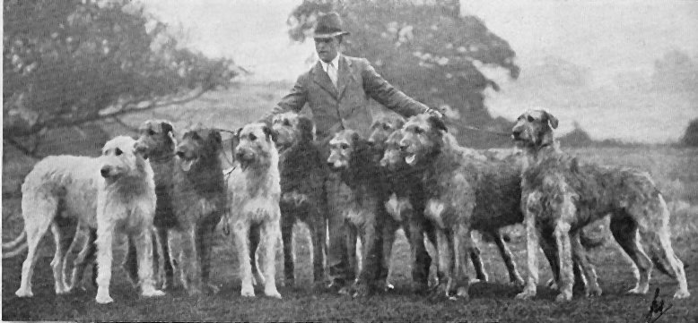 Bill Siggers and ten wolfhounds