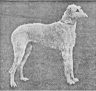Hindhead John