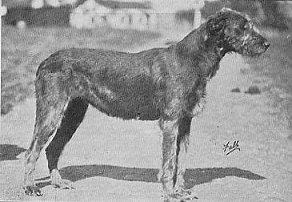 Honour of Grevel