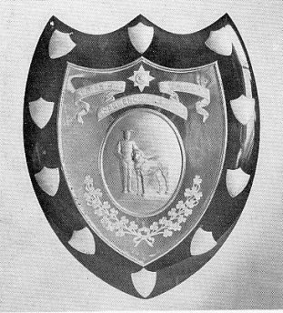 Irish Guards' Shield