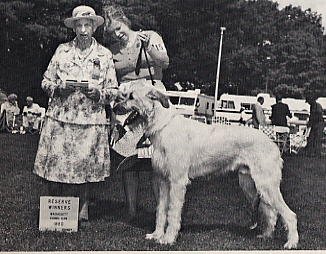 Mrs. Nagle & Reserve Winners dog