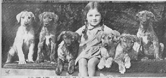 Jane with puppies