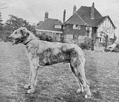 Sulhamstead Krim