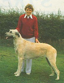 Lainston Laodamia of Sulhamstead