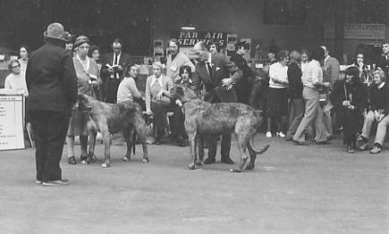 LKA, 1972