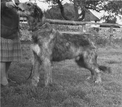 Sulhamstead Major