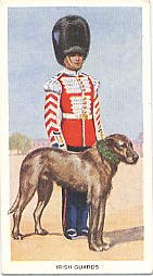 Cigarette card