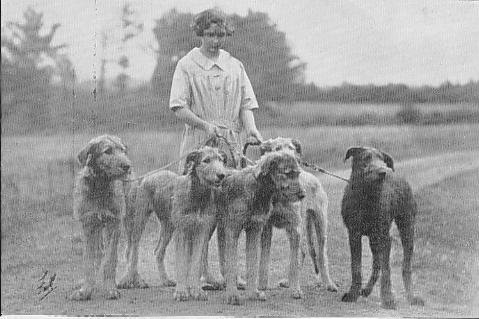 Miss Barr with five hounds