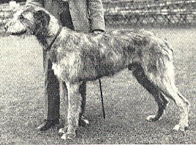 Sulhamstead Mogul
