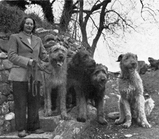 Sheelagh Seale with group of hounds
