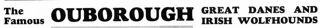 advertisement heading