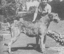Outhwaite Clodagh of Boroughbury